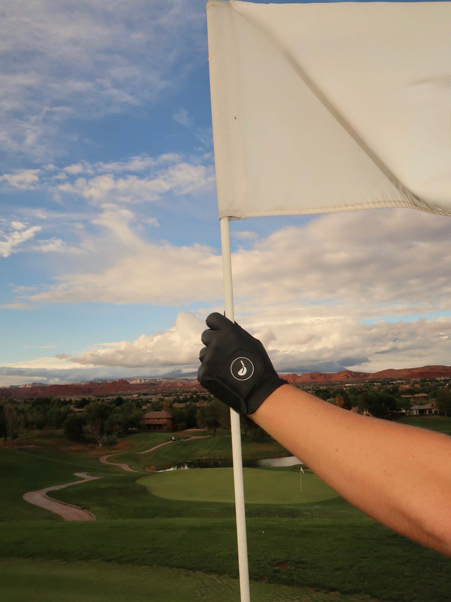 Driver Glove